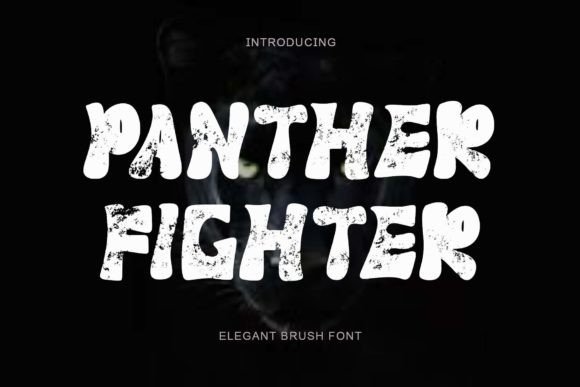 Panther Fighter: A Display Font for Editorial Impact