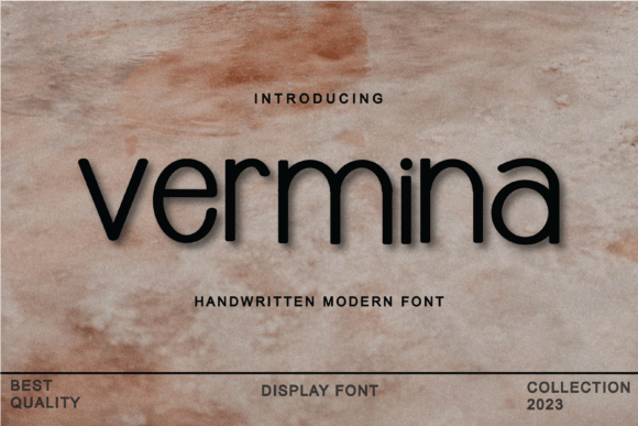 Vermina Font: A Sophisticated Display Typeface for Small Businesses