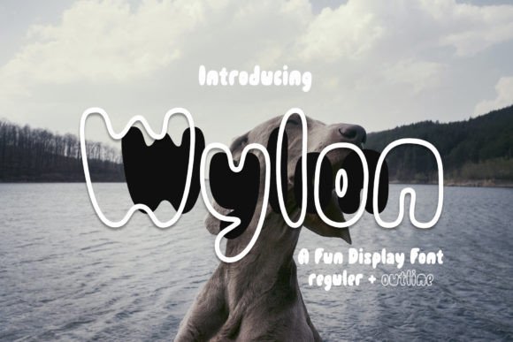 Wylon: A Cheerful Display Font for Editorial Joy